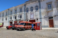 IMG_2239