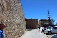 IMG_2241