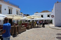 IMG_2245