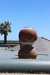 IMG_2250