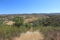 IMG_2253
