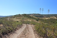 IMG_2254