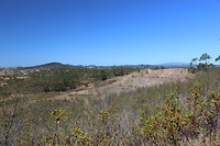 IMG_2255