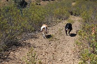 IMG_2257