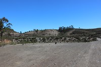IMG_2259