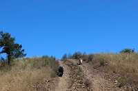 IMG_2262