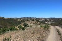 IMG_2265