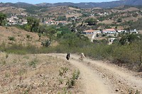 IMG_2267
