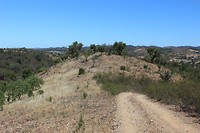 IMG_2268
