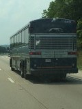 Greyhound bus