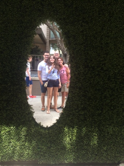 Starring: Vince, Emily, Wilma & Marcel's head