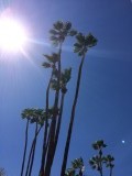 Palm Springs
