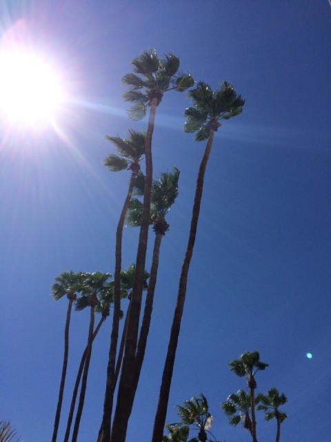 Palm Springs