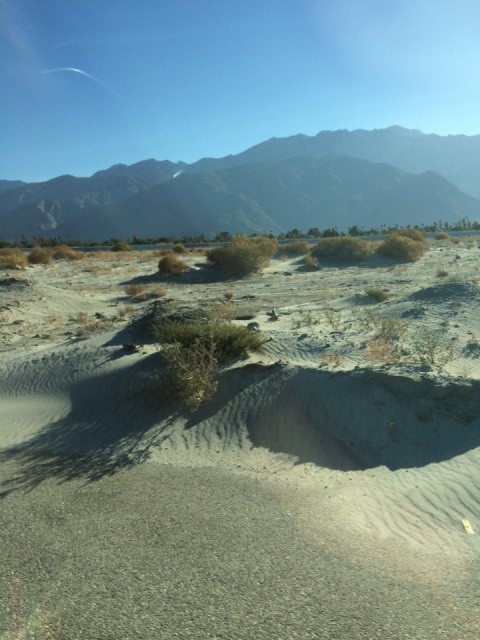 Desert