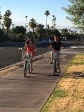 Born to be wild