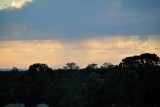 Rain on the plain