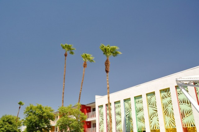 Our hotel in Palm Springs looked really pretty