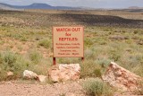 I heard a rattlesnake but didn't see it