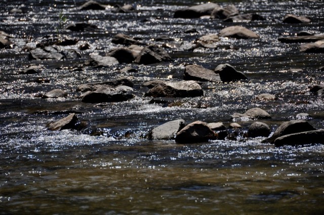 Small rapids in Merced River