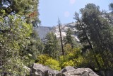 Mirror Lake Trail