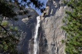 Lower Yosemite Falls
