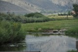Creek close to Carson City