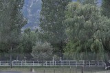 Nice fence