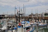 Fishermans Wharf