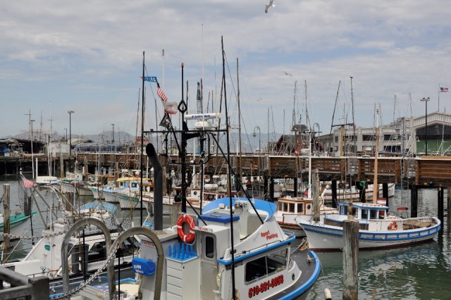 Fishermans Wharf