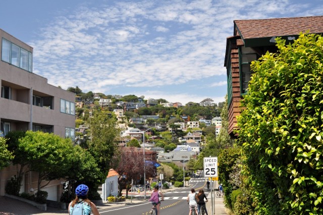 Sausalito Citi Limits
