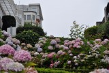 Lombard Street