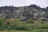 Muir Beach area