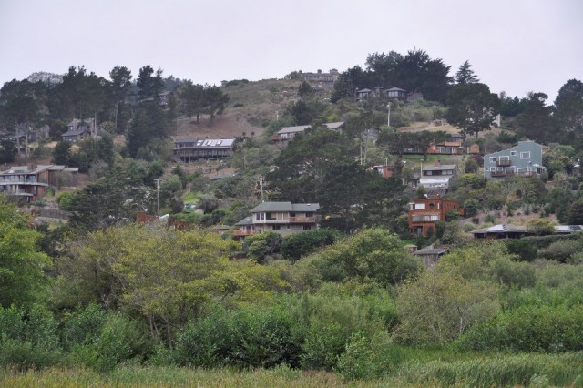 Muir Beach area