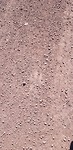 IMG-20180808-WA0010