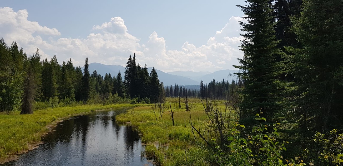 Van Whitefish naar Bigfork