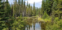 Van Whitefish naar Bigfork