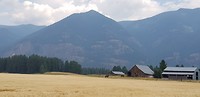 IMG-20180808-WA0016