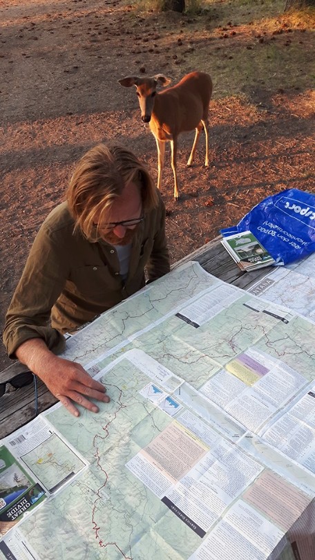 Het wildlife komt zich ook even met onze route bemoeien..