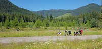 IMG-20180808-WA0018