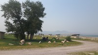 20180814_145713