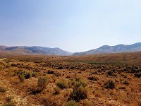 IMG-20180816-WA0016