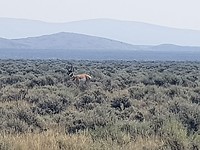 IMG-20180816-WA0014
