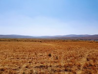 IMG-20180816-WA0011