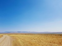 Into the great wide open..