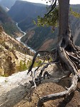 Yellowstone