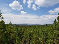 Yellowstone