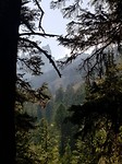 IMG-20180824-WA0003