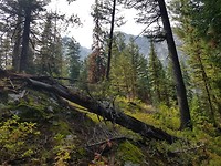 IMG-20180824-WA0004
