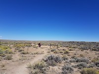 IMG-20180829-WA0020
