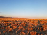 IMG-20180829-WA0016